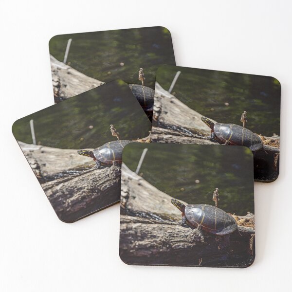 Item preview, Painted Turtle designed and sold by Daniel's Destinations.