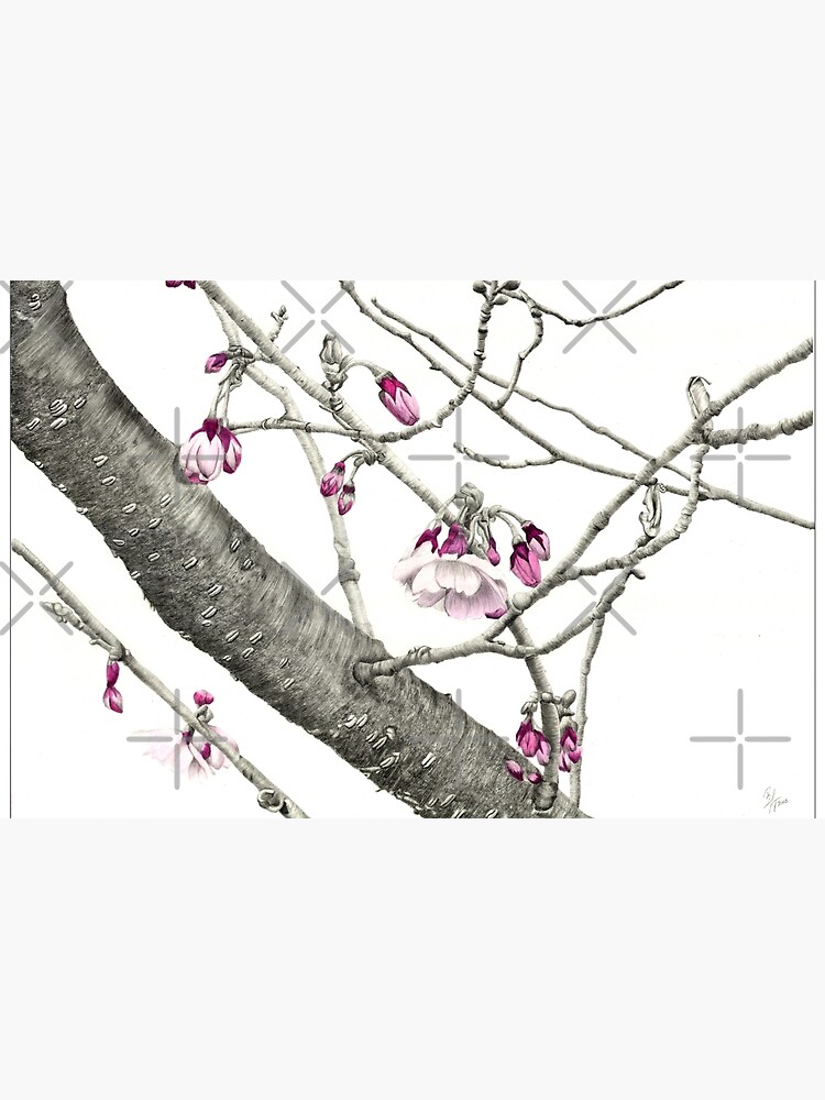 April Blossoms by beththompsonart