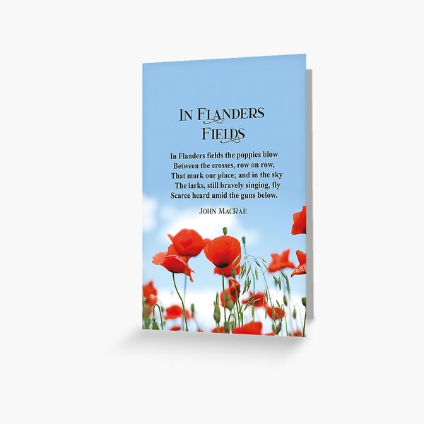 In Flanders Fields Greeting Card by Andrew Fare