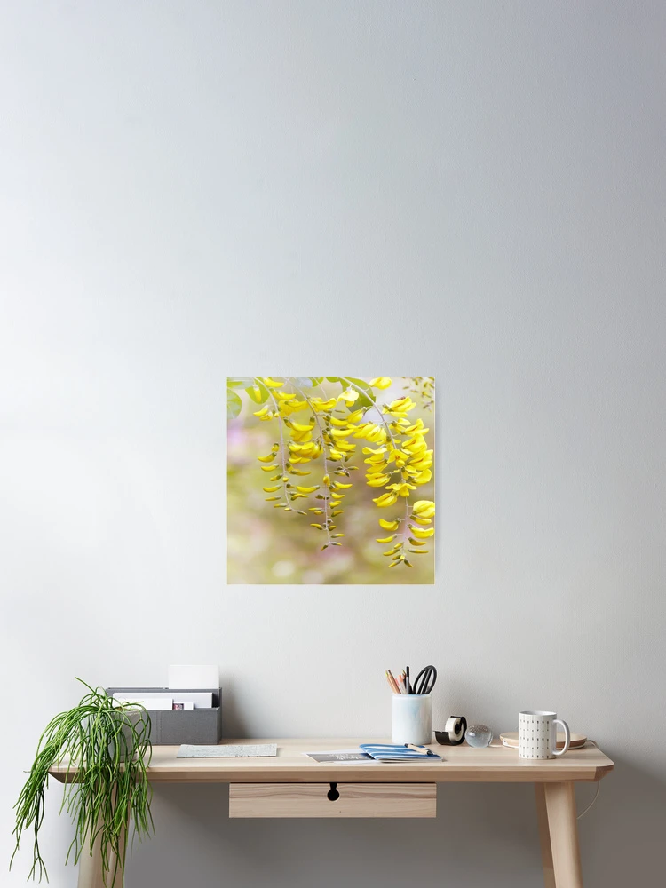Thumbnail 2 of 3, Poster, It's Spring designed and sold by Artskratch.