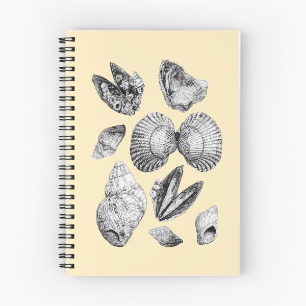 Item preview, Ocean Treasure (Seashell Collection) designed and sold by Rebecca Redman.