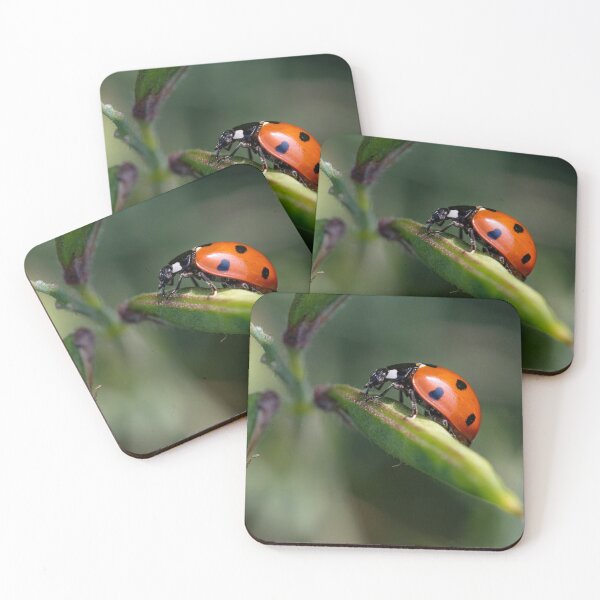 Item preview, Lady Bird designed and sold by DonMc.