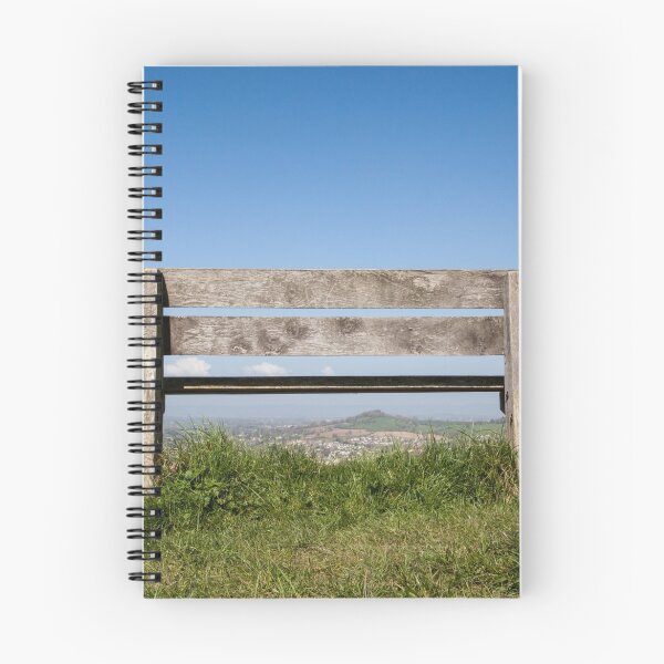 Item preview, The bench on the common designed and sold by Jeff  Wilson.