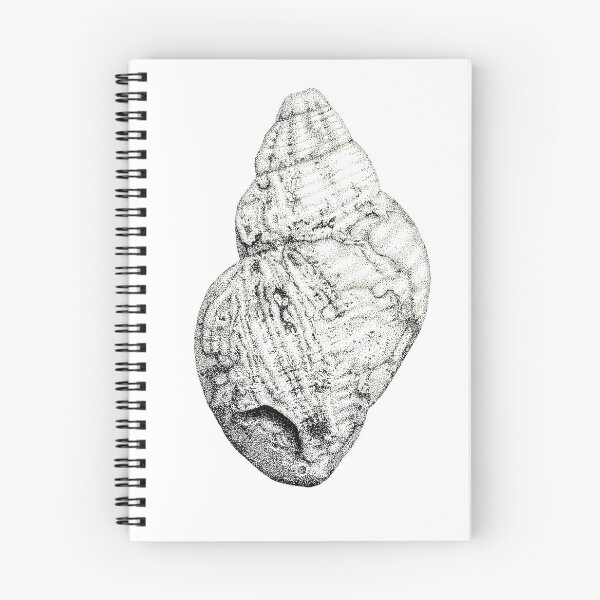 Item preview, Ocean Treasure (Whelk Seashell) designed and sold by Rebecca Redman.