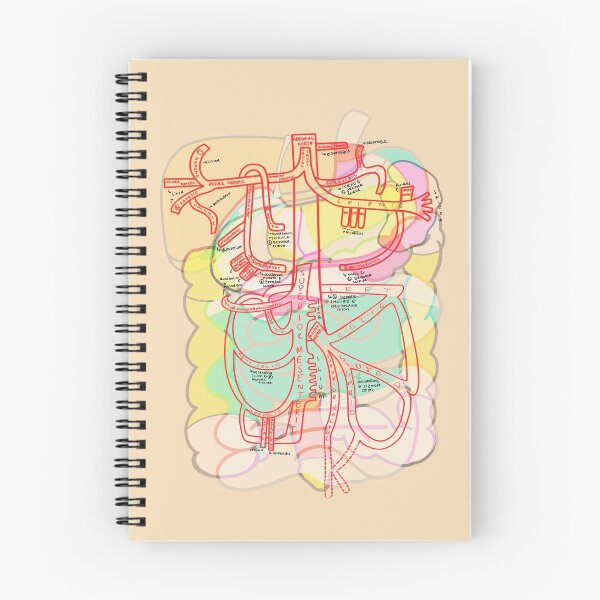Item preview, Abdominal arterial flow with viscera designed and sold by tunatoes.
