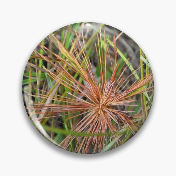 Item preview, Pine Needles designed and sold by Theophanes Avery.