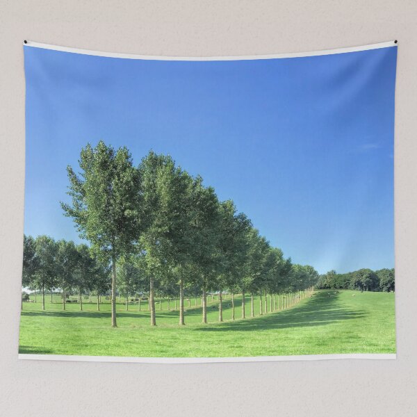 Item preview, Beautiful landscape of tree’s and blue sky’s designed and sold by Tee702.