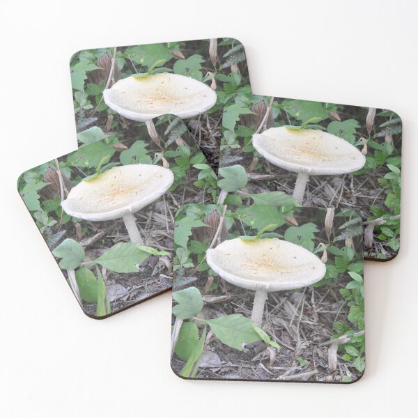 Item preview, Mushroom that Looks like a Birdbath  designed and sold by Theophanes Avery.