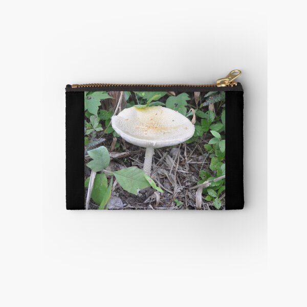 Item preview, Mushroom that Looks like a Birdbath  designed and sold by Theophanes Avery.