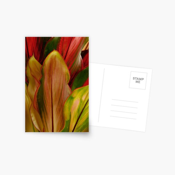 Item preview, Nature in Colour designed and sold by Camila Bruce.