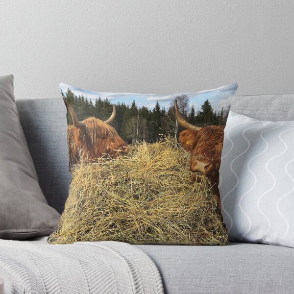 Item preview, Scottish Highland Cattle Cows 2357 designed and sold by SaarelaHighland.