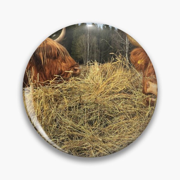 Item preview, Scottish Highland Cattle Cows 2357 designed and sold by SaarelaHighland.