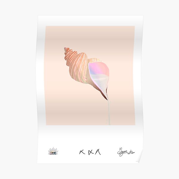 Sea Shell Poster