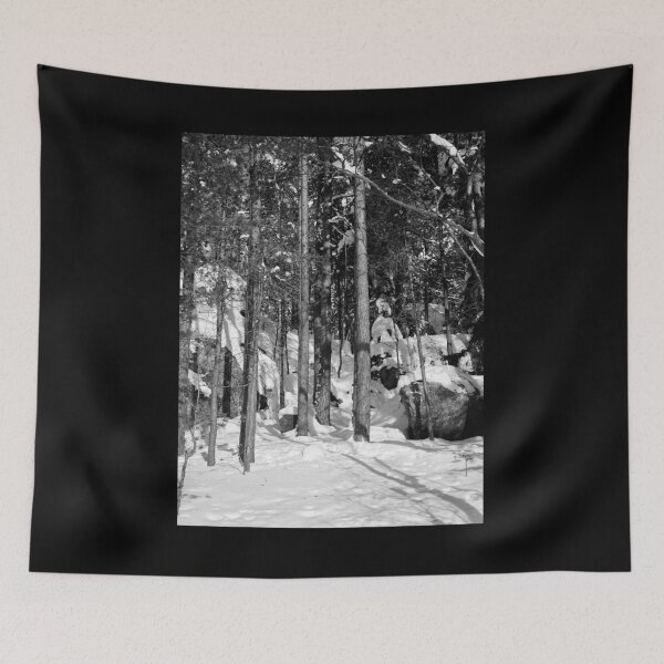 Item preview, Sun snow and forest bw designed and sold by Jouko Lehto Photography.