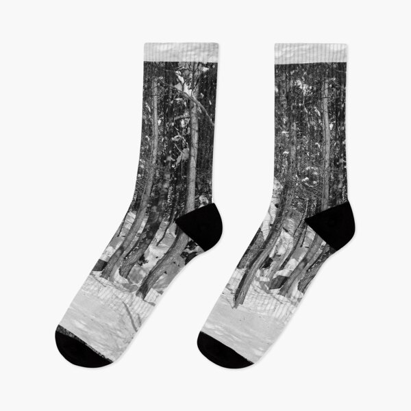 Item preview, Sun snow and forest bw designed and sold by Jouko Lehto Photography.