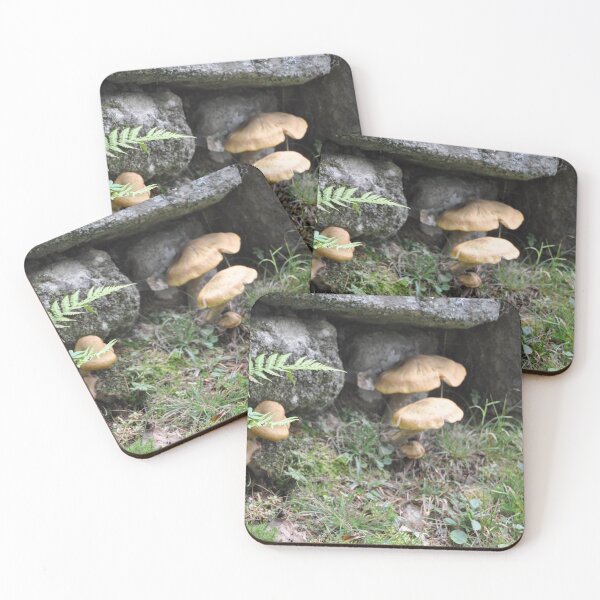 Item preview, Mushrooms on a Rock Wall designed and sold by Theophanes Avery.