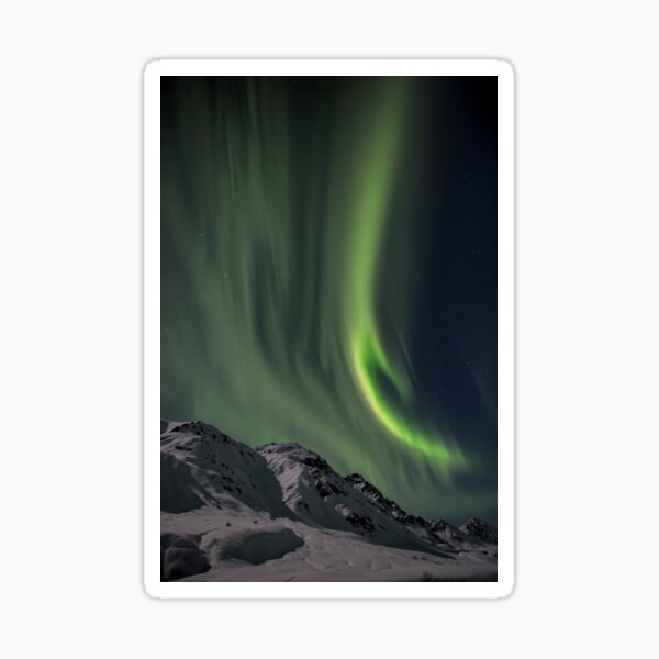 Night Lights Sticker
