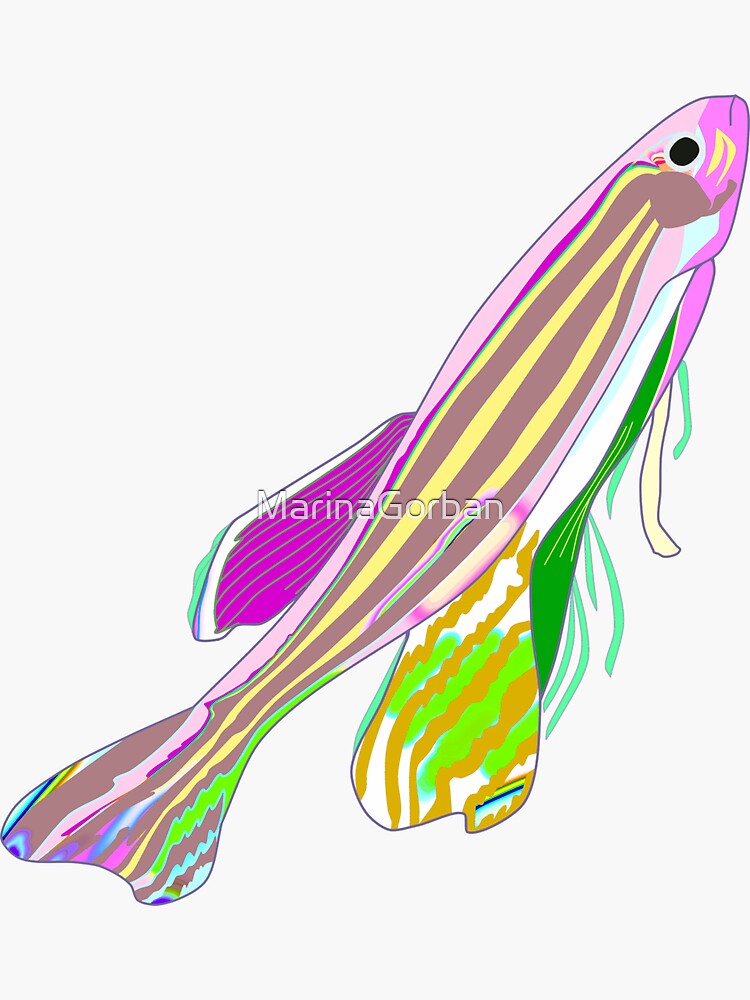 "Pink Zebrafish Zebra Fish" Sticker by MarinaGorban Redbubble
