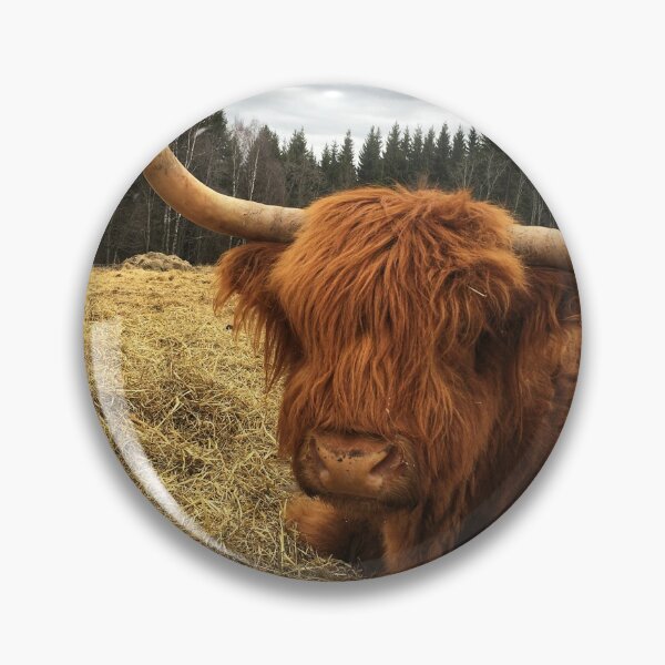 Item preview, Scottish Highland Cattle Cow 2366 designed and sold by SaarelaHighland.