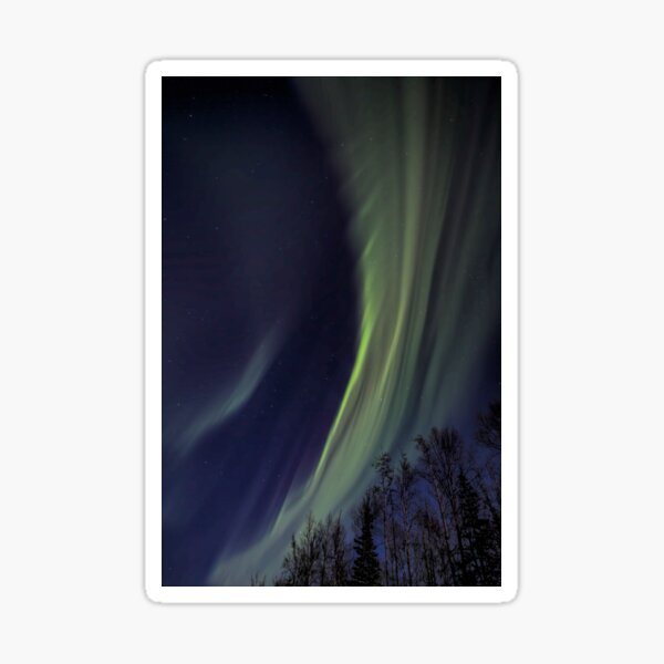 Treetop Aurora 4 Sticker