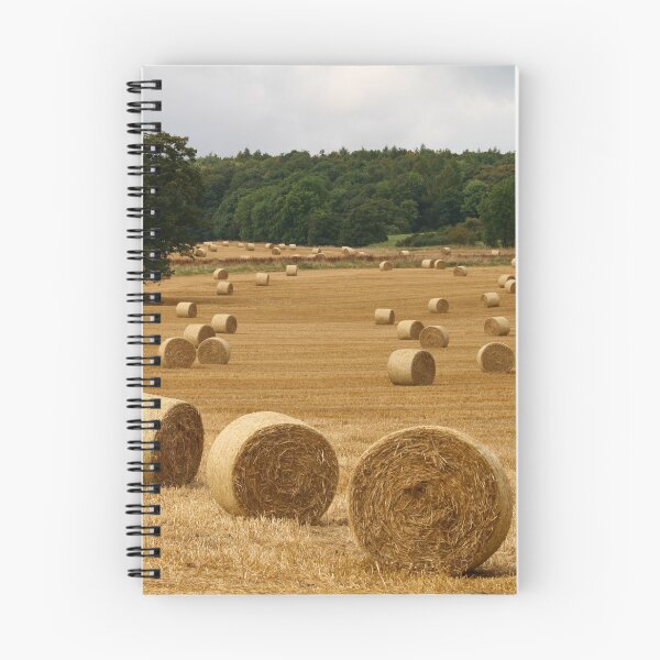 Item preview, Making Hay designed and sold by RoystonVasey.