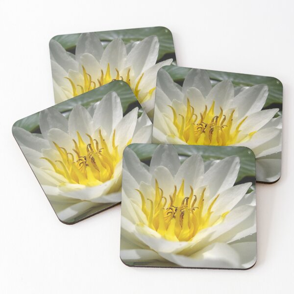 Item preview, What A Lily! designed and sold by RoystonVasey.
