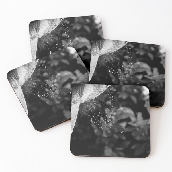 Item preview, The Spider Left Out In The Cold (Monochrome) designed and sold by DoodleBugImages.