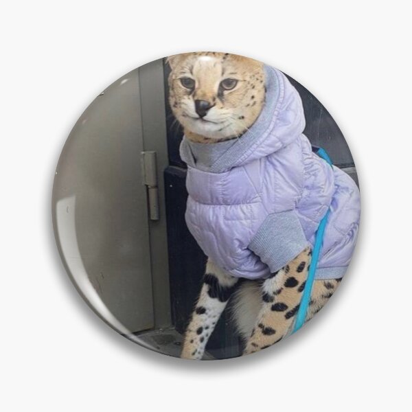 Item preview, Sogga in the coat designed and sold by seller23.