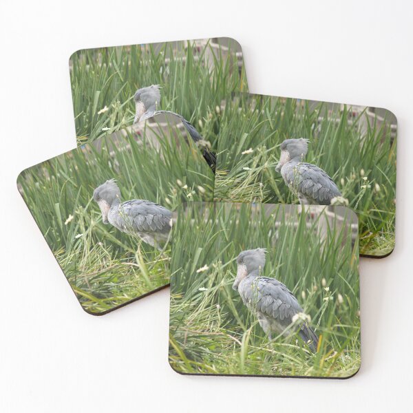 Aperçu de l'œuvre Shoebill créée et vendue par SashaSprite.