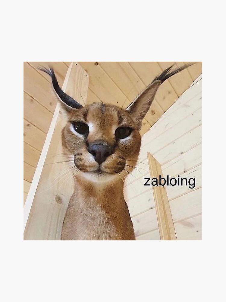 Zabloing Stickers for Sale