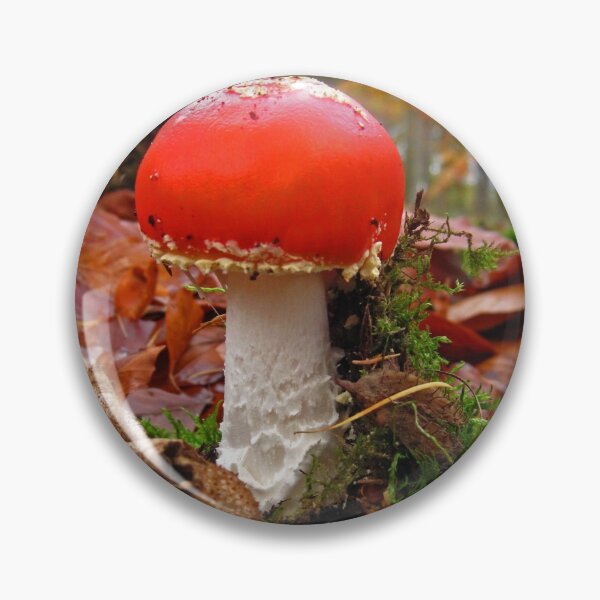 Item preview, Lil Red designed and sold by RoystonVasey.