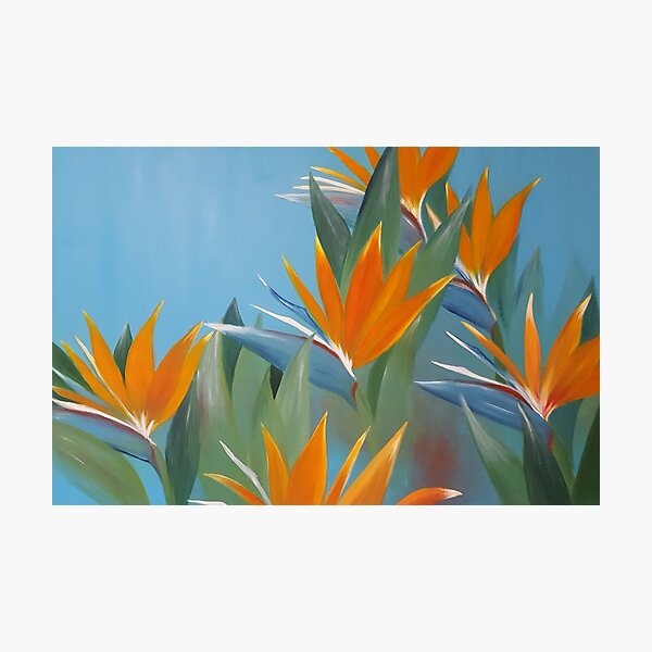 Item preview, Strelitzia designed and sold by AliceWolfgang.