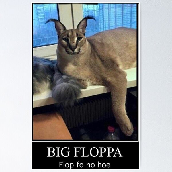 big floppa cat  Poster for Sale by ThekidsplaceS99