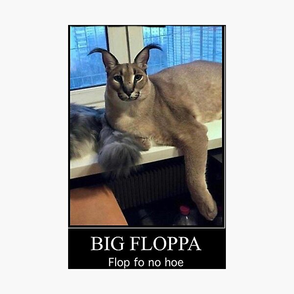 Big Floppa! Photographic Print for Sale by Maxtown