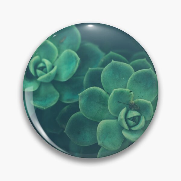 Item preview,  Echeveria Succulents Plant designed and sold by Helen Cheung.