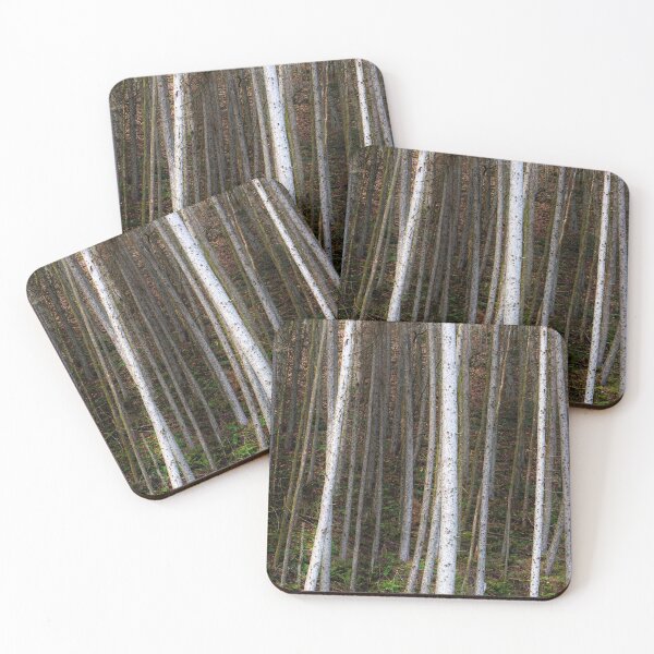 Item preview, Forest of Birch trees designed and sold by Leighton Collins.