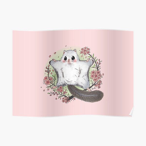 Flying Squirrel with Cherry Blossom Poster