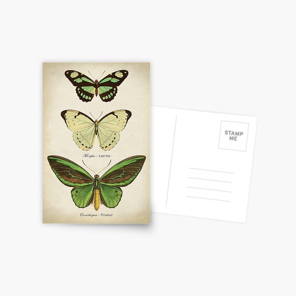 Item preview, Green Butterflies designed and sold by LeAllureVintage.