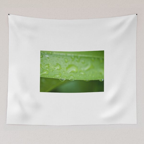 Item preview, Hanging On designed and sold by D-GaP.
