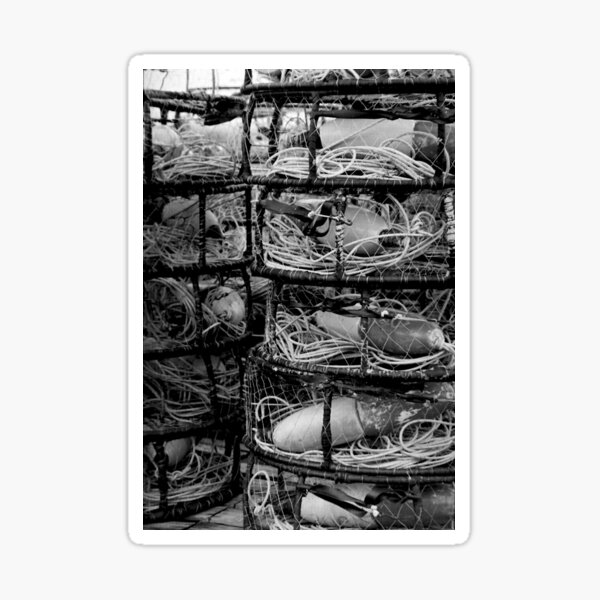 "Crab Pots" Sticker for Sale by SHWILDLIFE Redbubble