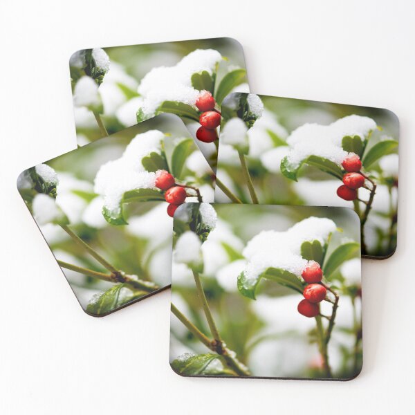 Artikelvorschau, Red, White & Green entworfen und verkauft von DoodleBugImages.