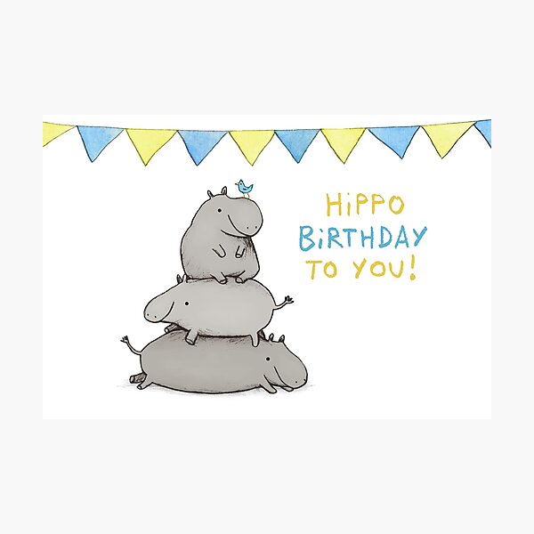 Hippo Birthday Photographic Print
