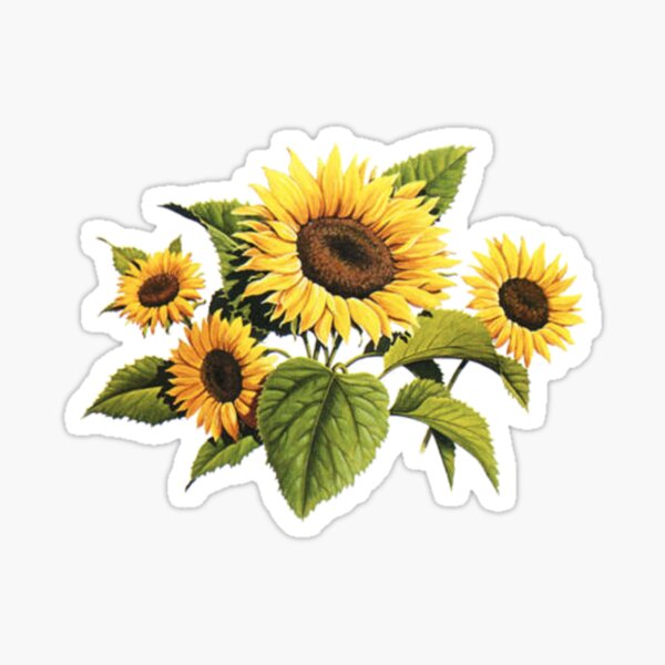 Item preview, Sunflowers designed and sold by misskris766.