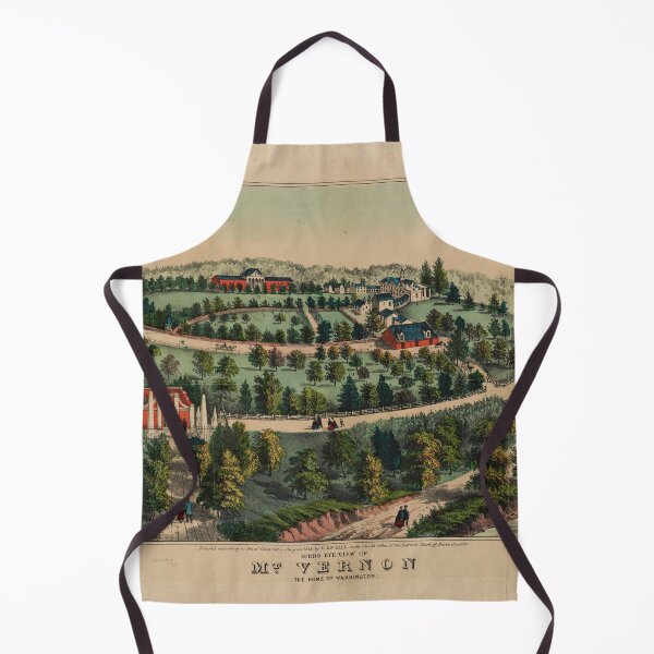 Item preview, Mt. Vernon, Virginia (1859) designed and sold by allhistory.