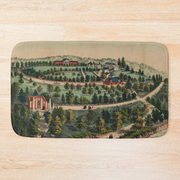 Item preview, Mt. Vernon, Virginia (1859) designed and sold by allhistory.