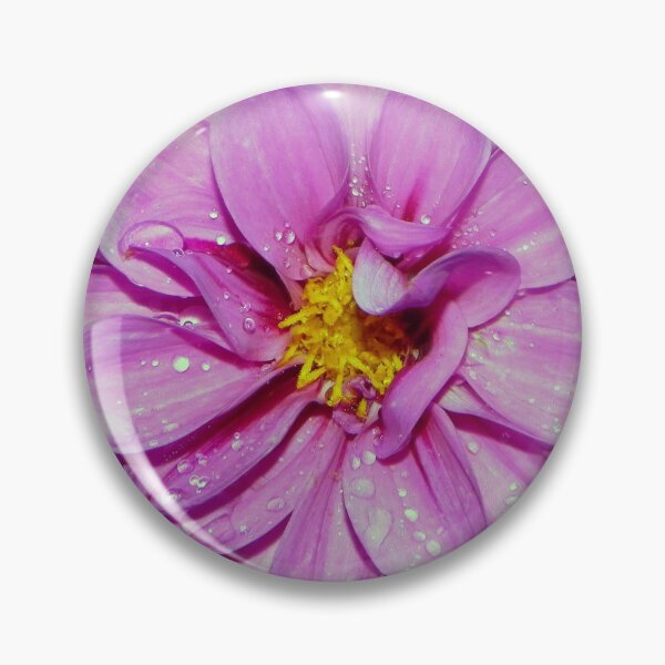 Item preview, Gorgeous Colorful Pink-Purple Dahlia Flower designed and sold by AlinaSCorner.