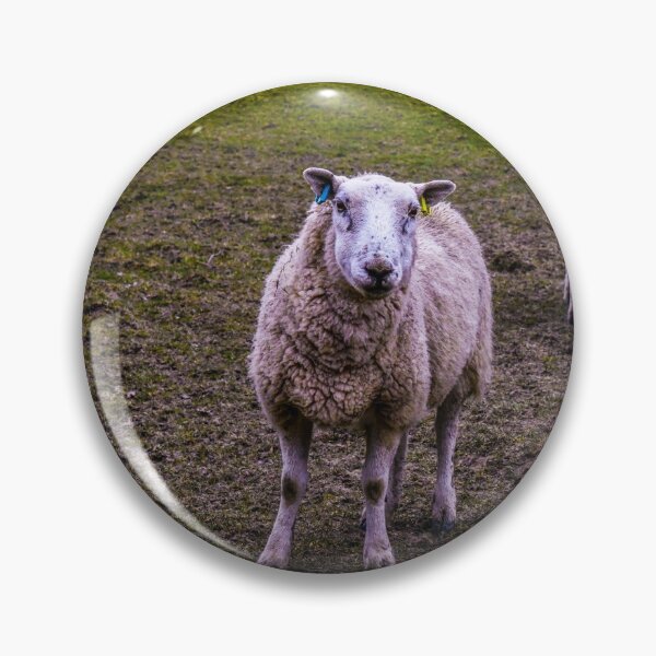 Item preview, Sheep dream designed and sold by SzendeB.