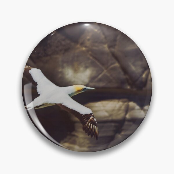 Item preview, Gannet in flight #3 designed and sold by DVart-nz.