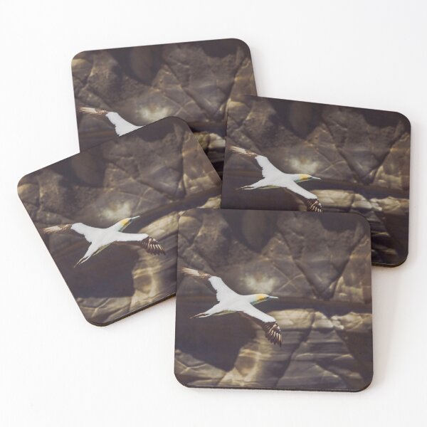 Item preview, Gannet in flight #3 designed and sold by DVart-nz.