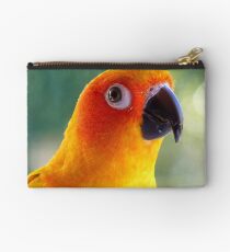 I Might Be Up To Mischief! - Sun Conure NZ Studio Pouch